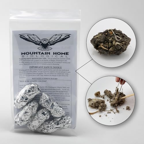 Barn Owl Pellets, Pack of 5 Extra Large Pellets and Bone Sorting Guide