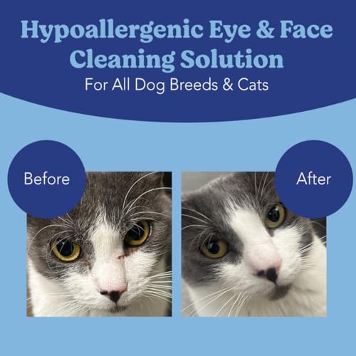 Angels' Eyes Tear Stain Remover Eye Wipes for Dogs & Cats, 100 Count