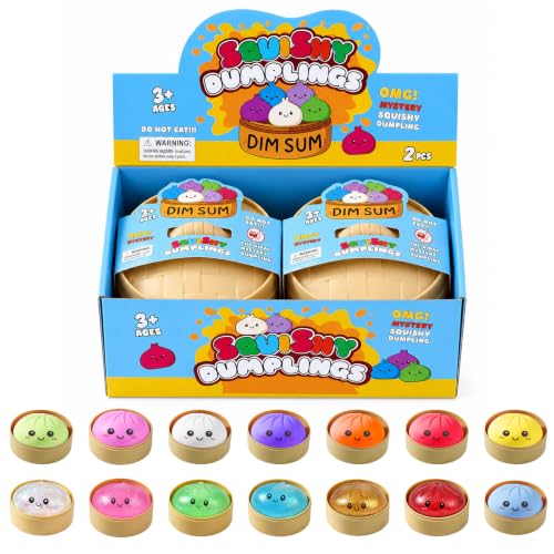 2PCS Squishy Mystery Box, Stress Relief for Desk Decor, Squeeze Toys