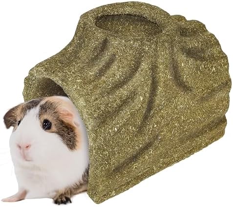 Kaytee Premium Timothy Treat Hideout for Rabbits, Guinea Pigs, Large
