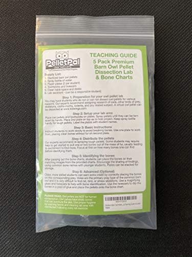 Premium Barn Owl Pellets, Small: 1.25"-1.5" (Pack of 5) - Free Bone ID Chart, 5 Forceps