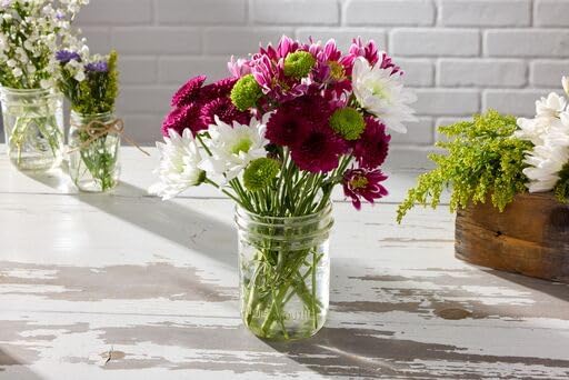 Ball Wide Mouth Glass Mason Jars with Lids and Bands, Used for Canning, Pickling, Juice