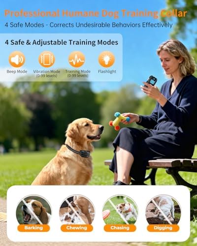 Dog Shock Collar with Remote Control, Waterproof Dog Training Collar Grey