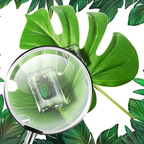 12 Pcs Insect Specimens for Kids Resin Bug Collection Kit, Butterfly