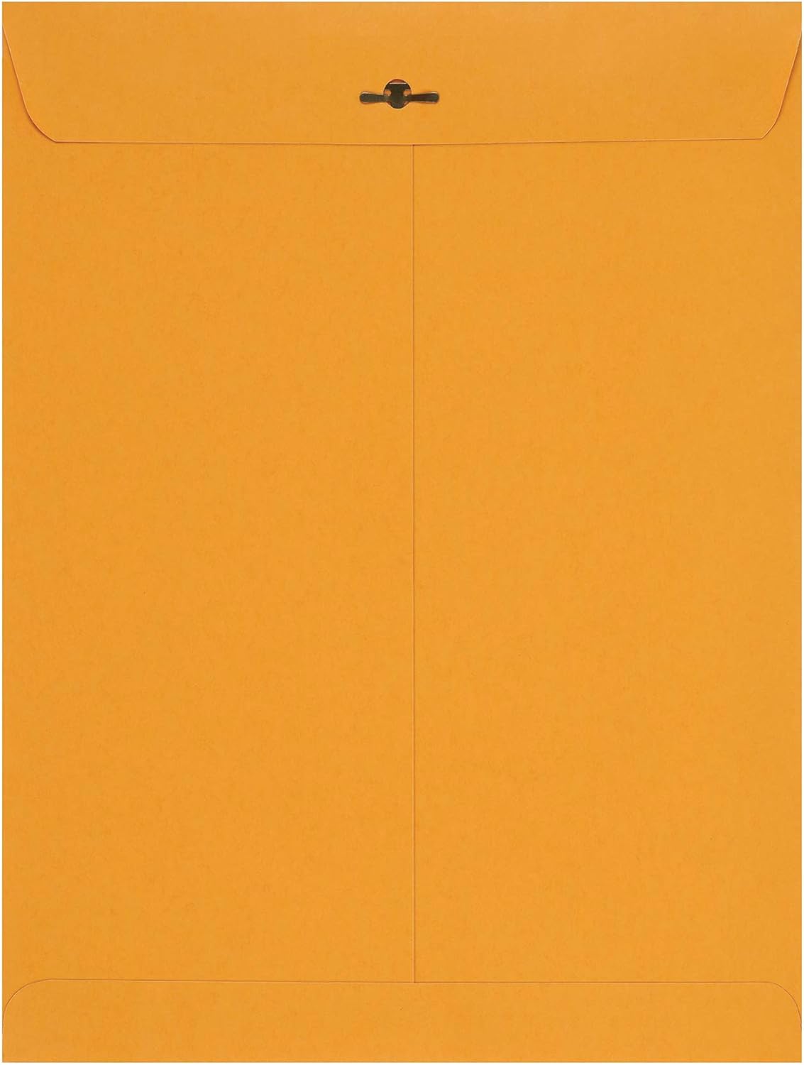 Amazon Basics Clasp Kraft Envelopes for Documents, Gummed Mailing Envelope