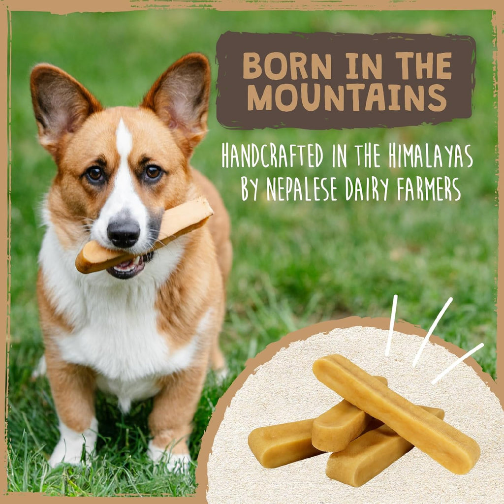 Mighty Paw Yak Cheese Dog Chews – All-Natural Long Lasting Hard Chew for