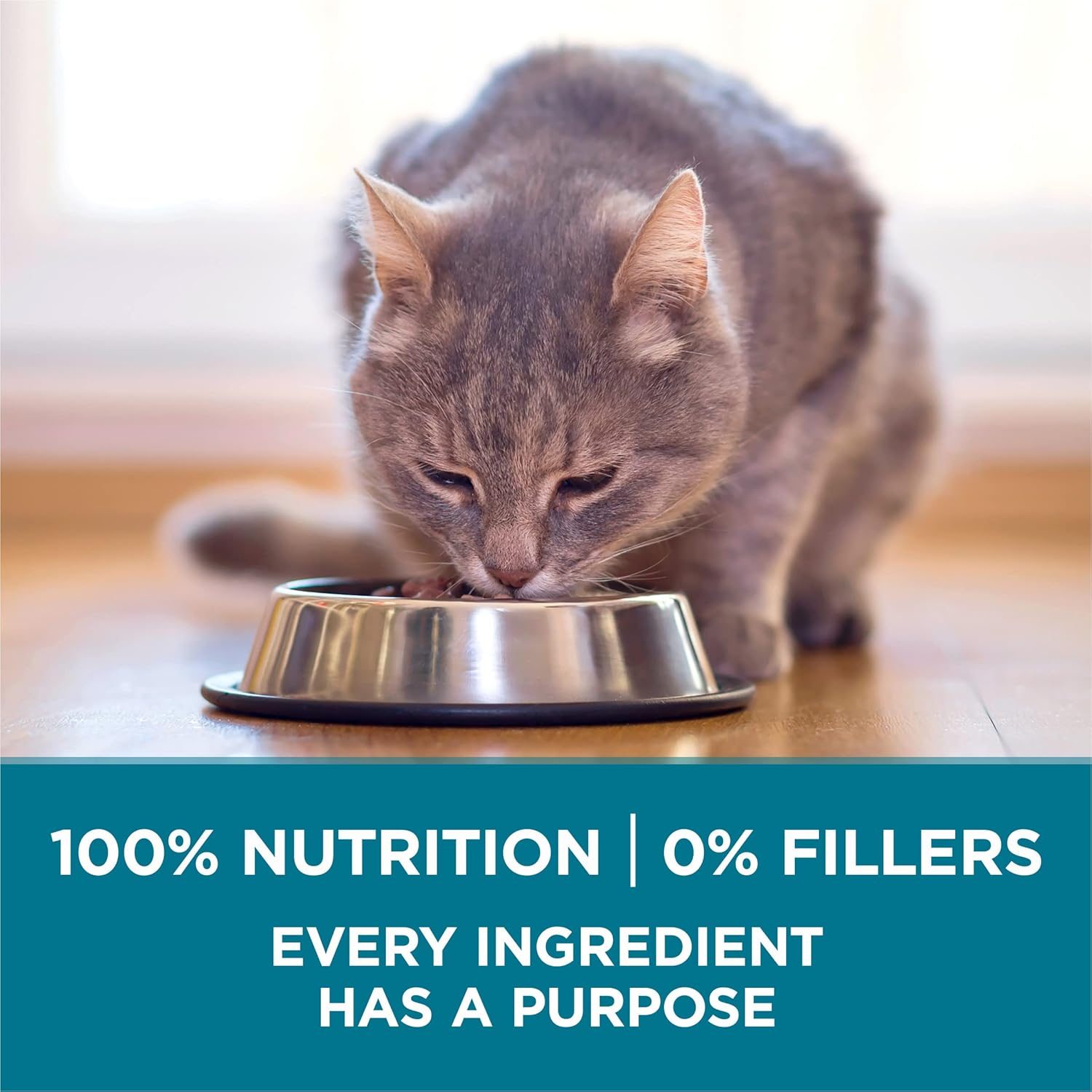 Purina ONE Natural Dry Cat Food, Tender Selects Blend With Real Chicken - 7