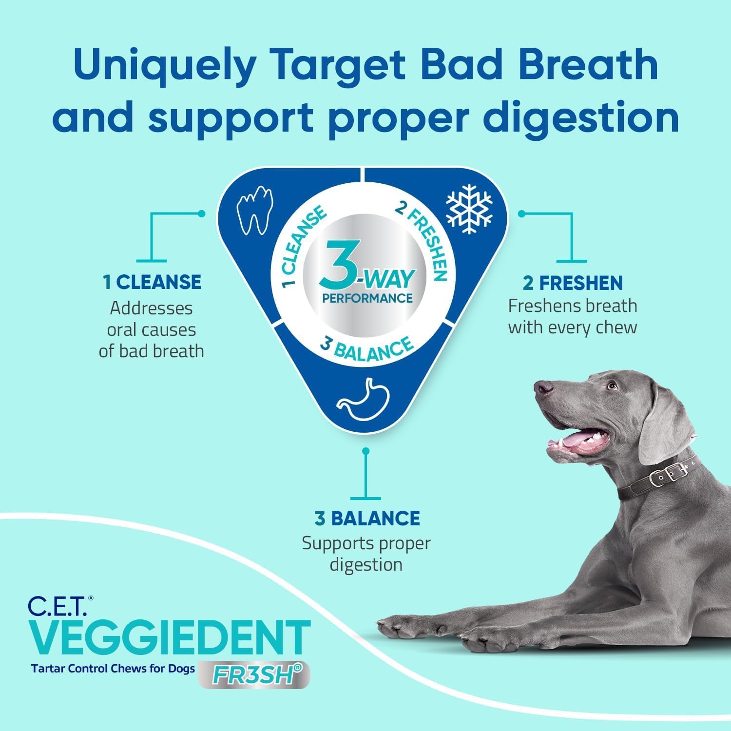 Virbac C.E.T.® VEGGIEDENT® FR3SH® Tartar Control Chews for Dogs with