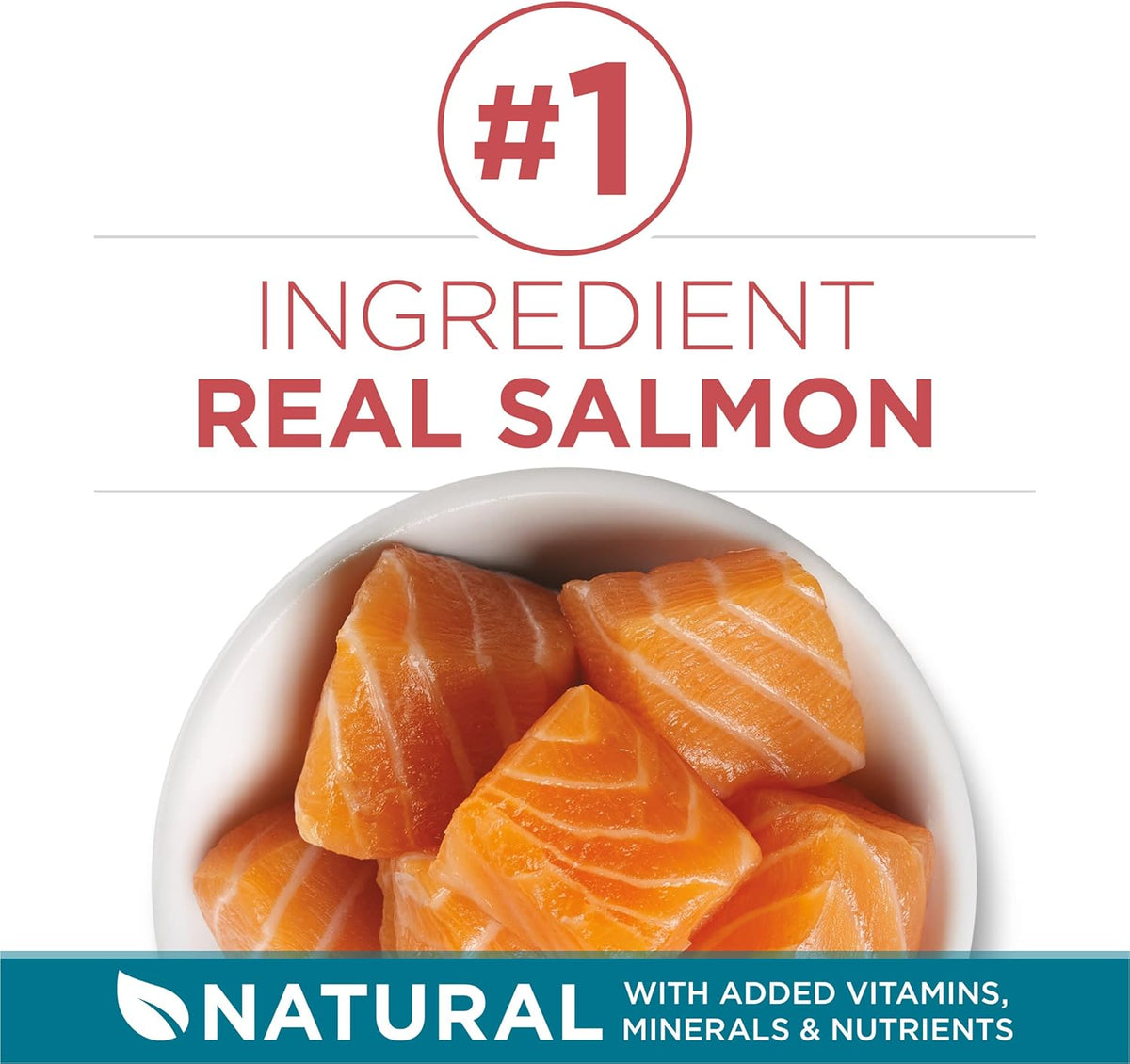 Purina ONE Natural Dry Cat Food, Tender Selects Blend With Real Salmon - 7