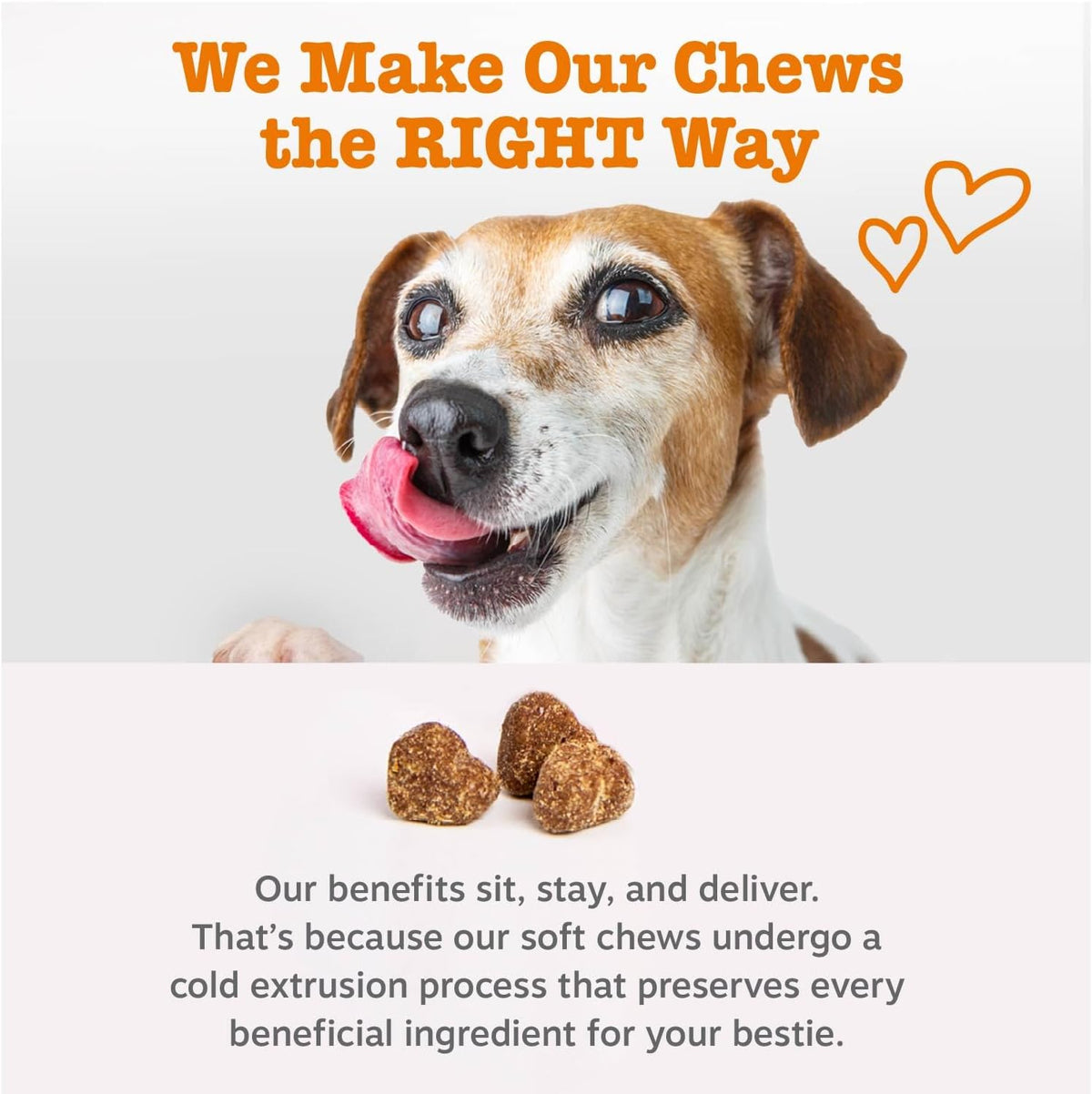 Zesty Paws Dog Multivitamin, Chewable Dog Vitamins and Supplements for Hip &