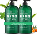 Botanic Hearth Tea Tree Body Wash 16 fl oz (2 Pack) Natural Antifungal & Odor