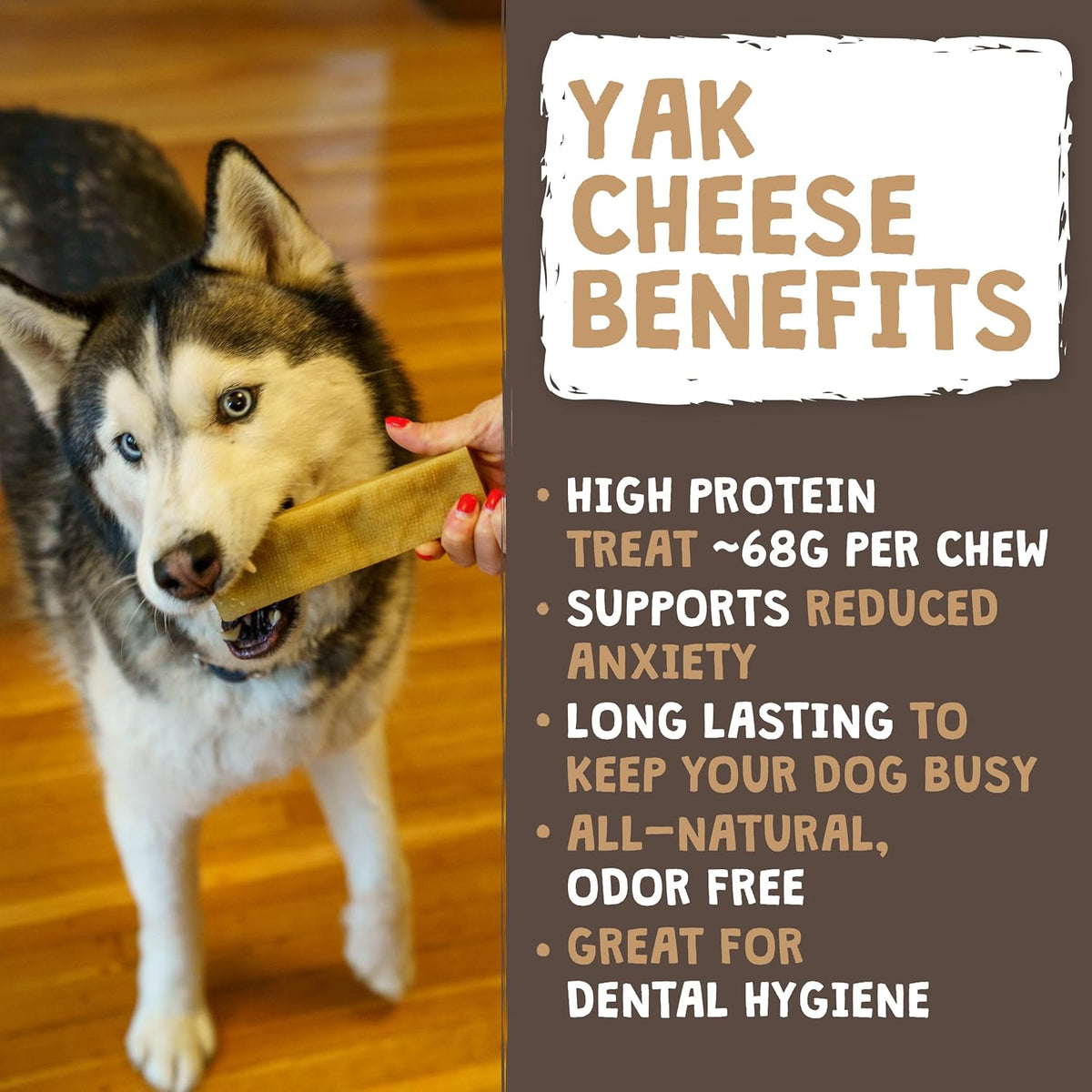Mighty Paw Yak Cheese Dog Chews – All-Natural Long Lasting Hard Chew for