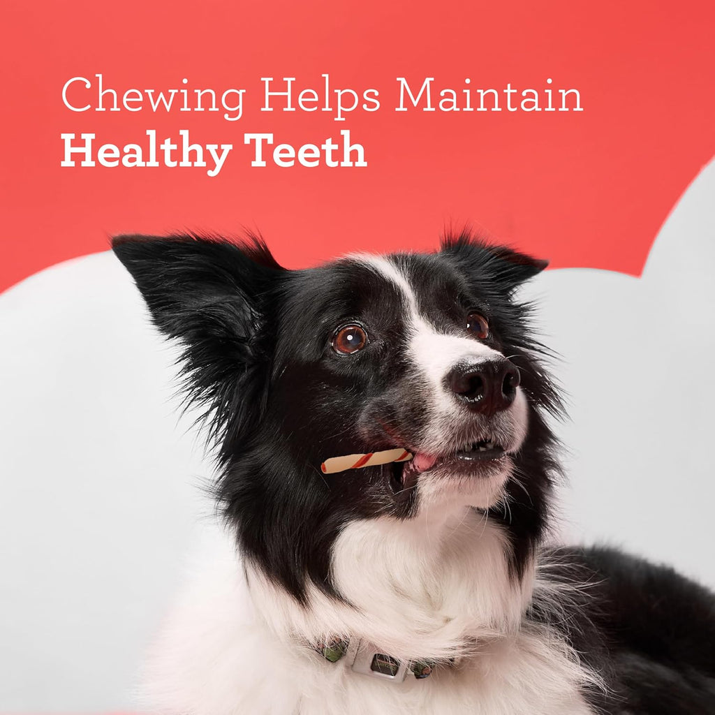 DreamBone Twist Sticks Chews for Dogs, 50 Count, Treat Your Dog to