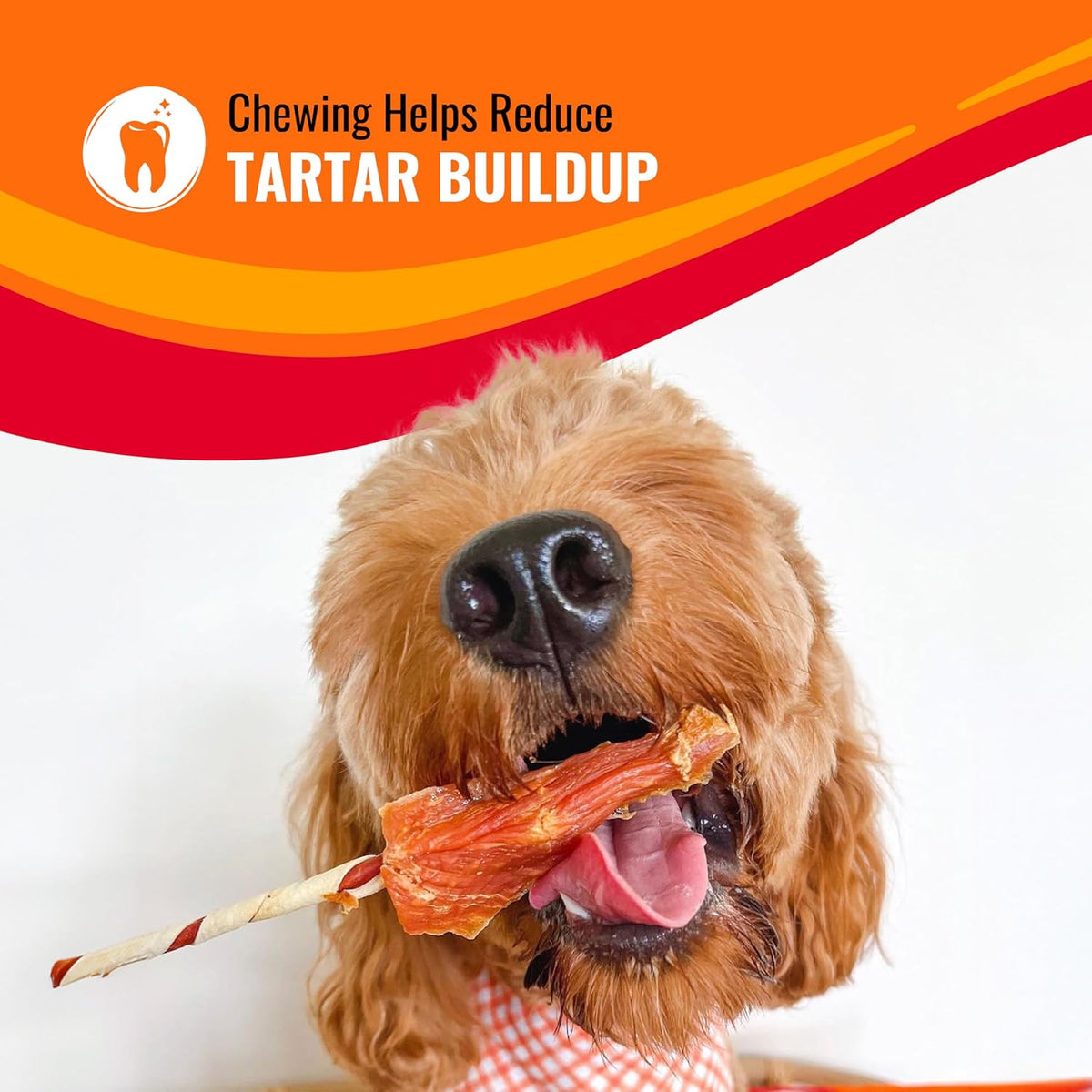 Good ‘n’ Fun Triple Flavor Rolls for Large Dogs, Treat Your Dog to