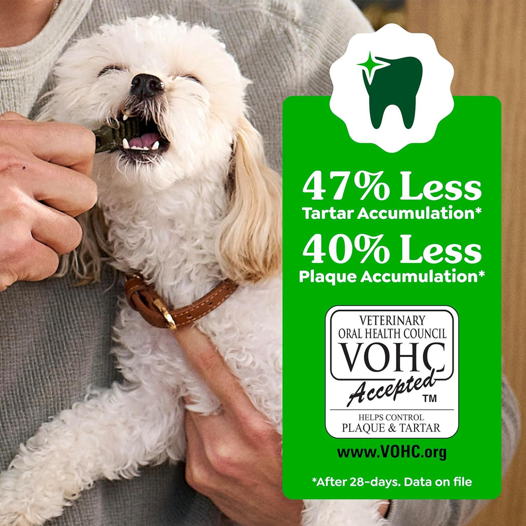 Greenies Veterinarian-Recommended Adult Natural Dental Dog Treats Petite