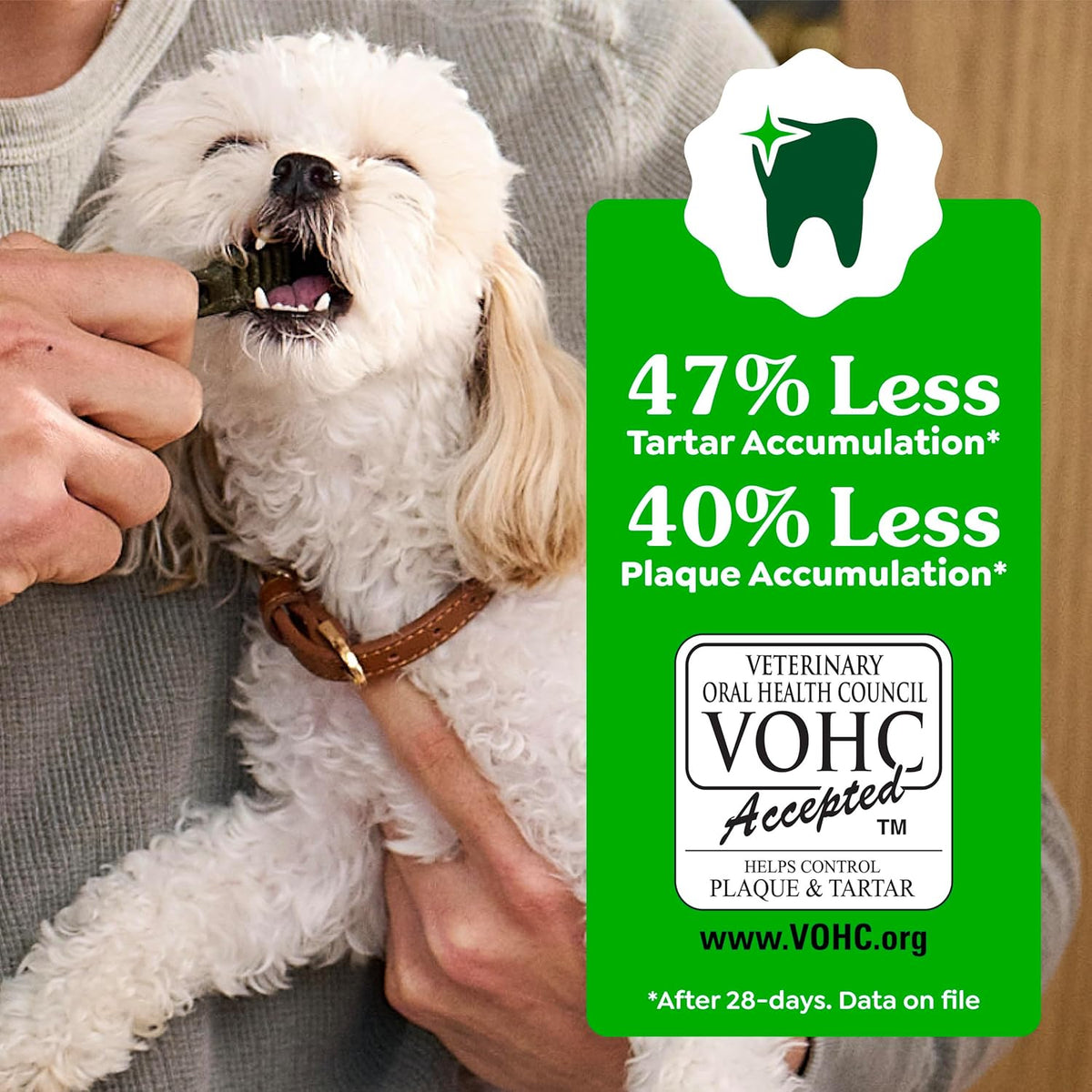 Greenies Veterinarian-Recommended Adult Natural Dental Dog Treats Petite