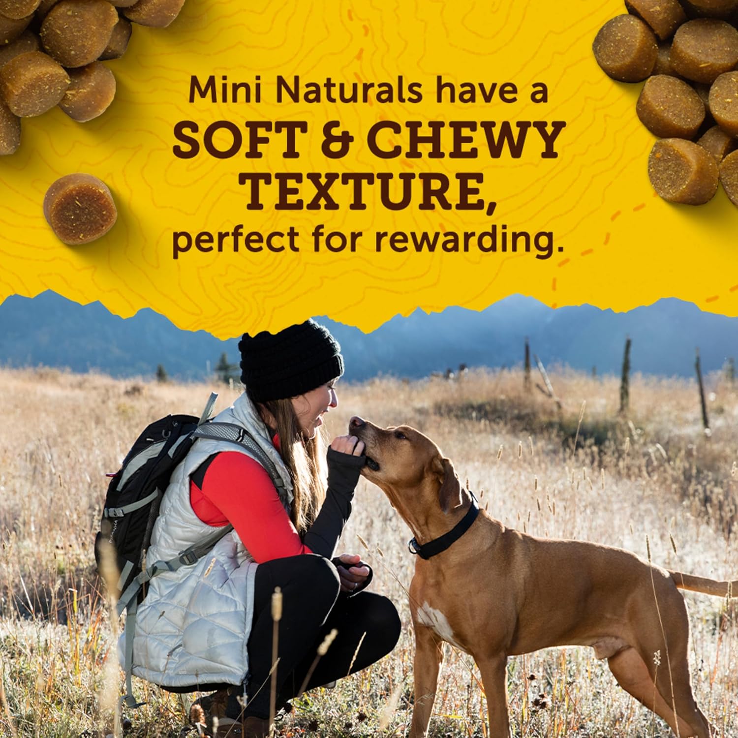 Zuke’s Mini Naturals Dog Training Treats for Dogs, Pet Treats Made with Real