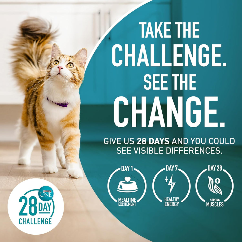 Purina ONE Natural Dry Cat Food, Tender Selects Blend With Real Salmon - 7