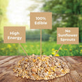 Kaytee Wild Bird (No Mess or Waste Free) Food Seed Blend For Blue Jays