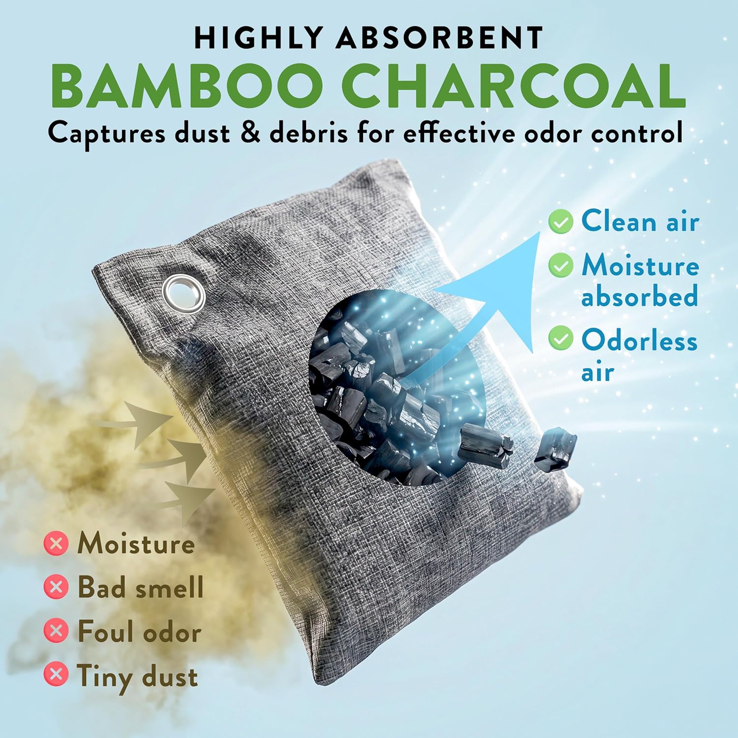 Charcoal Odor Absorber for Strong Odor (6 Pack, 100g each), Bamboo Charcoal