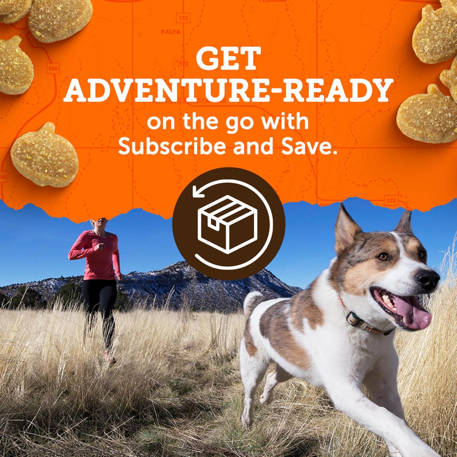 Zuke’s Mini Naturals Dog Training Treats for Dogs, Pet Treats Made with Real