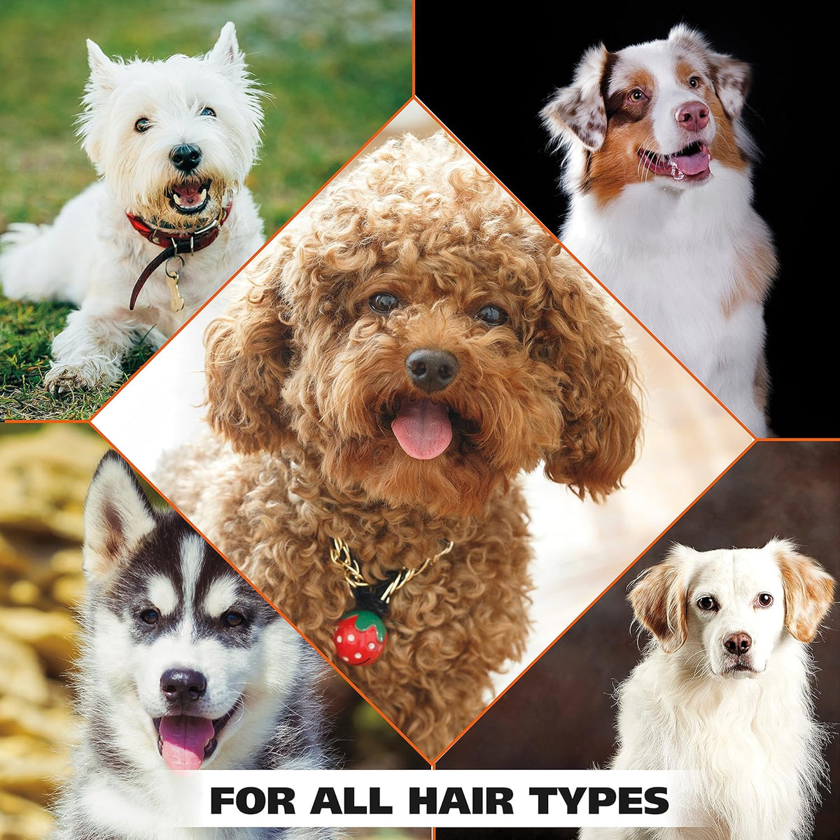 Wahl USA Dry Skin & Itch Relief Pet Shampoo for Dogs – Oatmeal Formula with